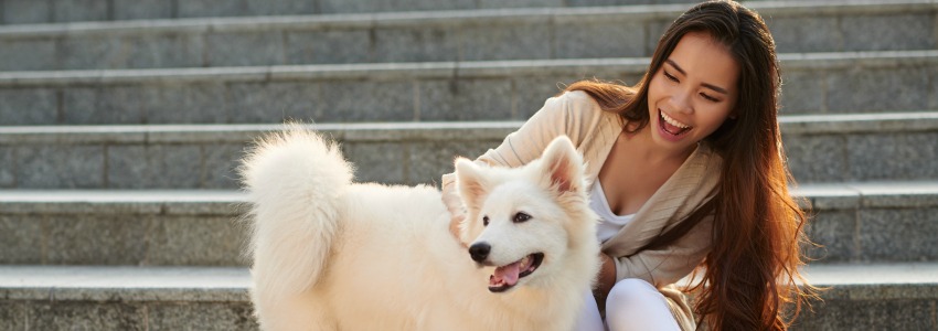 4 Options If You're Hit With a Huge Vet Bill You Can't Afford