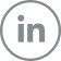 LinkedIn Icon