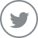 Twitter Icon